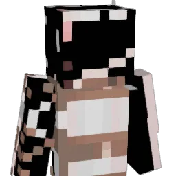 saphara13 Minecraft avatar bust