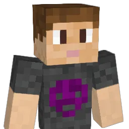 sapojr98 Minecraft avatar bust