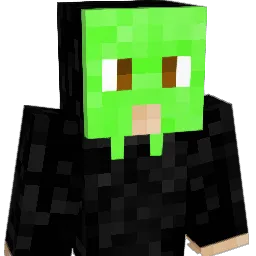 sarahg66 Minecraft avatar bust