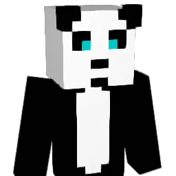 sarahs15x Minecraft avatar bust