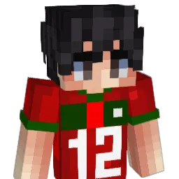 sarsamy Minecraft avatar bust