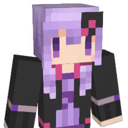 sasu12323's Minecraft skin