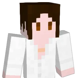 satsukisony Minecraft avatar bust