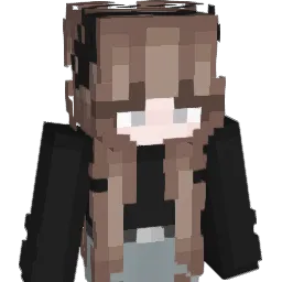 savannahfn1 Minecraft avatar bust