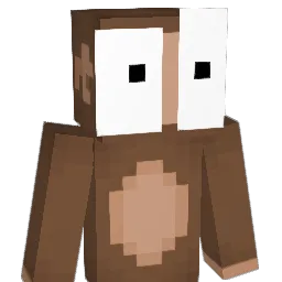 savviko