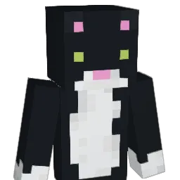 savxnna Minecraft avatar bust