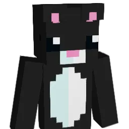 saymeoow Minecraft avatar bust