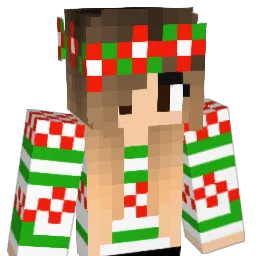 sb123321 Minecraft avatar bust