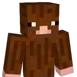 sb_yj Minecraft avatar bust
