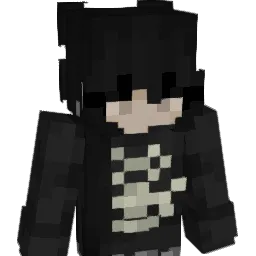 sbhjf Minecraft avatar bust