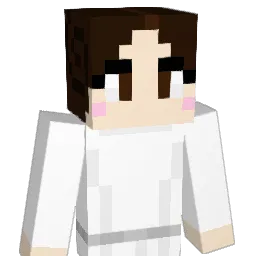 schKidz Minecraft avatar bust