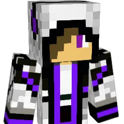 schenki696 Minecraft avatar bust