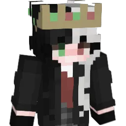 schildi246's Minecraft skin