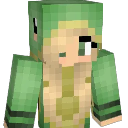 schildpadje13 Minecraft avatar bust