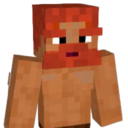 schmaliwhacker03 Minecraft avatar bust