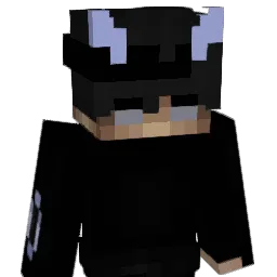 schmuggeln Minecraft avatar bust