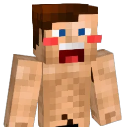 schoenholz Minecraft avatar bust