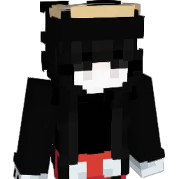 schoolyer