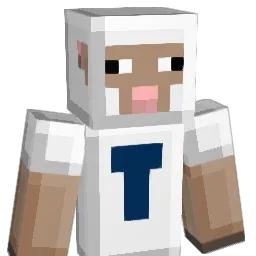 schreiberty Minecraft avatar bust