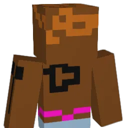 schroink Minecraft avatar bust