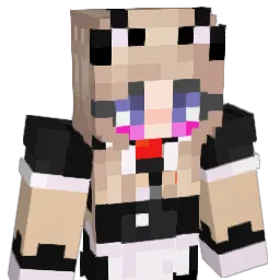 schusscall