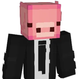 schweinchen59 Minecraft avatar bust