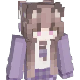 sd_wyz