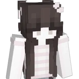 sdnsjs