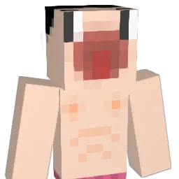 sdoifhj Minecraft avatar bust