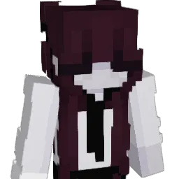 sdsf Minecraft avatar bust