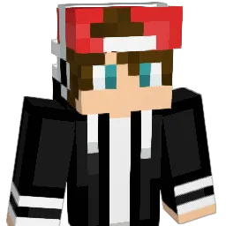 sdude8 Minecraft avatar bust