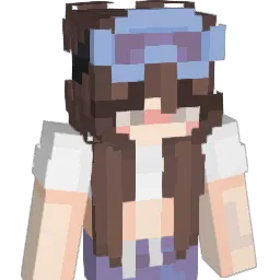se0nm1 Minecraft avatar bust