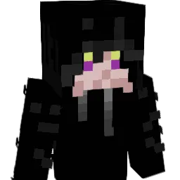 se2ta Minecraft avatar bust