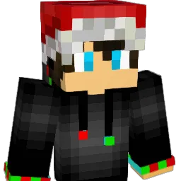 seahawks09 Minecraft avatar bust