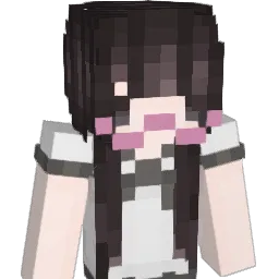 sealdoggie Minecraft avatar bust