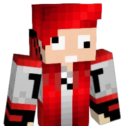 sealpuncher Minecraft avatar bust