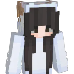 sean_210 Minecraft avatar bust