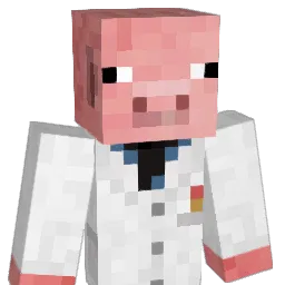 seanben1 Minecraft avatar bust