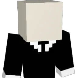 seanroche98 Minecraft avatar bust