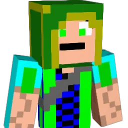 seb1901's Minecraft skin