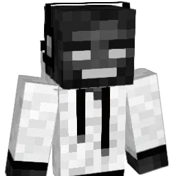 seba9000 Minecraft avatar bust