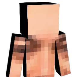 sebaaa91 Minecraft avatar bust