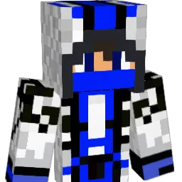 sebarock100 Minecraft avatar bust