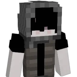 seblol1 Minecraft avatar bust