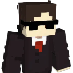 sebssss_2411 Minecraft avatar bust