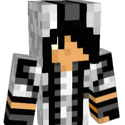 secretx511 Minecraft avatar bust