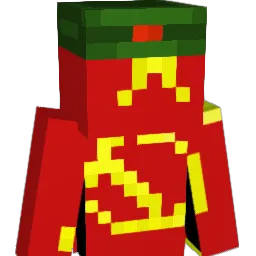 seekwww Minecraft avatar bust