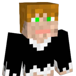 seguran2000 Minecraft avatar bust