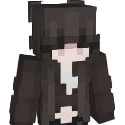seinely Minecraft avatar bust
