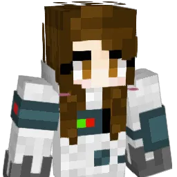 sejones13 Minecraft avatar bust